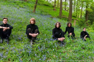 Blossoms – Blown Rose