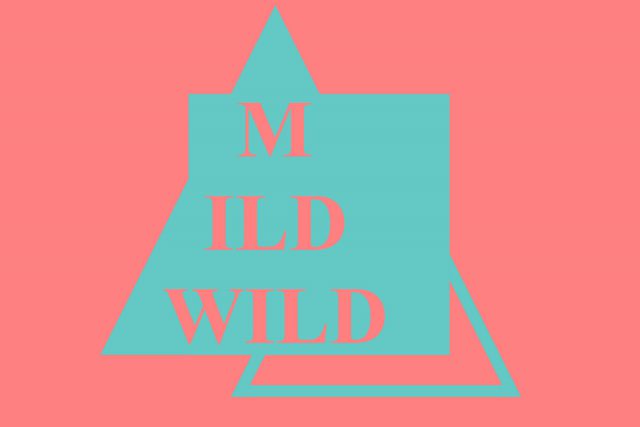 Mild Wild – Chain-Link Fence