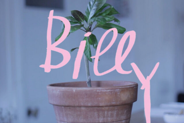 Billy Bonbon – TOMORROW